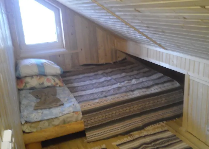 玩乐山林小屋 *